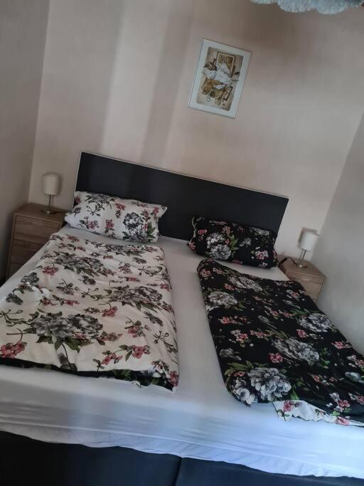 Gemuetliche Ferienwohnung Am Waldrand Elgersburg Exterior foto